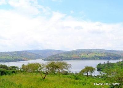 Rwandan diaspora family video calling relatives about a property purchase in Kigali