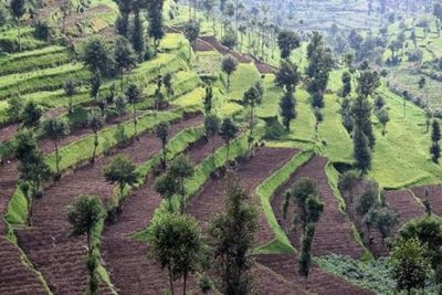 Panoramic comparison of different Kigali neighbourhoods for living and investing